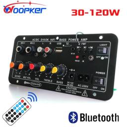 Woopker Bluetooth Audio Amplifier Board 120W Subwoofer Dual Microphone AMP Module For 4 Ohms 8-12 Inch Speaker 12/24V 110/220V