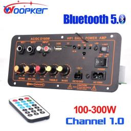Woopker Bluetooth Amplifier Board D100W Max 300W 220V/12V/24V Digital AMP Support Dual Microphone MP3 Player
