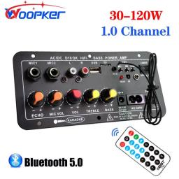 Woopker Amplifier Board Bluetooth AUX TF Card USB 30-120W For 4 Ohm 40W Speaker 110V 220V 12V 24V Audio Amp Module For Subwoofer