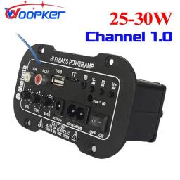 Woopker Speaker Amplifier Board DIY Digital Bluetooth Amplifiers  Module AUX TF Card USB 25-30W Speaker 110V 220V 12V 24V