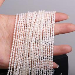 Natural Freshwater Pearl Beaded High Quality White Rice Beads Loose Pearls For Making Jewelry DIY Bracelet Necklace Accessories