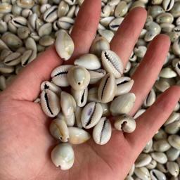 20pc/lot Natural Shell Beads Charms Cowry Shell Loose Bead DIY Bracelet Earring Necklace Bohemian Jewelry Making Accessories