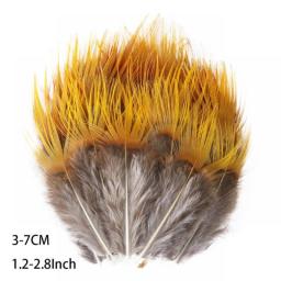 50Pcs Wholesale Natural Peacock Pheasant Feathers For Crafts Jewelry Making Accessorie Wedding Decoration Dream Catcher Plumes