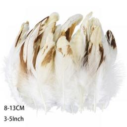 50Pcs Natural Peacock Pheasant Feathers For  Crafts Jewelry Making Accessorie Wedding Decoration Dream Catcher Plumes Wholesale