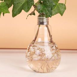 100ml Light Bulb Transparent Glass Vase Fashion Hydroponic Flower Vase Home Gift