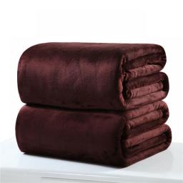 Plain Flannel Coral Blanket Small Fleece Sheet Super Warm Solid Micro Plush Fleece Blanket Throw Rug Sofa Bedding Supplies