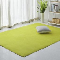 Nordic Rectangular Coral Velvet Carpets For Living Room White Bedroom Rugs Non Slip Floor Cushions Dining Room Mat Home Decor