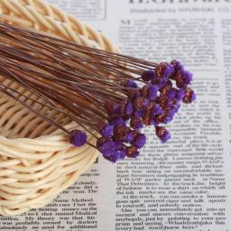 20/50pcs/Bunch Colorful Pastoral Rabbit Tail Grass Bunny Tails Dried Flowers Bouquets Plant Stems Material Home Decor