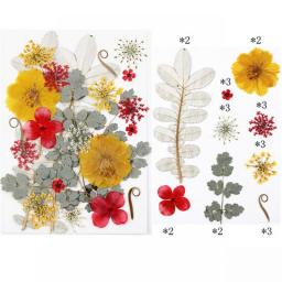 1Pack Dried Pressed Flowers Dry Leaves Herbs Kit For Resin Mold DIY Jewelry Making Crafts Candle Making Nail Art Face Decoration