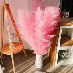 Boho Wedding Arrangement Decor Long Plumes Preserved Pink Beige Reed Pampasgras Bleached White Fluffy Large Dried Pampas Grass