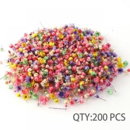 100/200pcs Real Dried Flowers For DIY Art Craft Epoxy Resin Candle Making Jewellery Home Party Decorative Dry Press Flowers