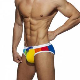Rainbow Triangle Swimming Trunks Sexy Swim Beach Shorts Low Waist Close-Fitting Thick Nylon Briefs Men's Bikini Bottom Swimwear