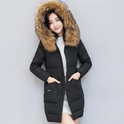 2022 Hot Warm Winter Jacket New Zipper Winter Coat Women Short Parkas Warm  Down Cotton Jacket