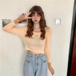 Korean Long Sleeve O-Neck Knit Women Sweaters Vintage Flower Embroidery Harajuku Hit Color Sweet Chic Jumper Femme Sueter Mujer