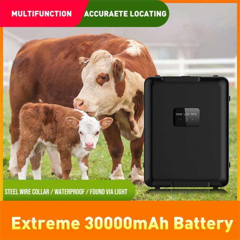 RF-V55 4g GPS Tracker Sheep Cow Cattle Horse Solar Power Strong Magnet gps tracking device Locator 20000mAh Long Standby Time