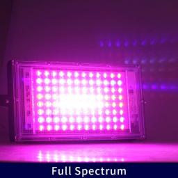 LED Floodlight 50W LED Spotlight 100W LED Grow Light 220V PhytoLamp Streetlight Full Spectrum Lamp For Plant Growth Lamp