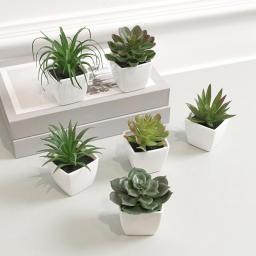 6PCS Home Decoration, Mini Evergreen Artificial Succulent Small Potted Plants