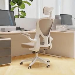 Ergonomic Office Chair Home Desk Office Chair With Adjustable Headrest & Cushion For Lumbar Support, High Back Computer Chair