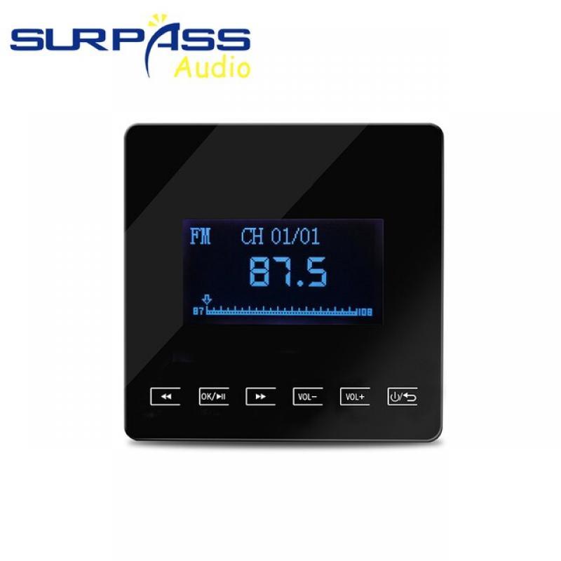 Bluetooth Wall Amplifier Mini bluetooth amplifier Home Audio System Touchkey Background Music Player connect to TV SURPASS