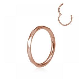 1pc 16G Stainless Steel Hinged Clicker Segment Septum Nose Lip Ring Hoop Cartilage Tragus Sleeper Earrings Body Piercing Jewelry