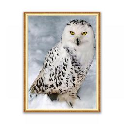 Paintings By Numbers Animal Bird Owl DIY Paint By The Numbers Adults Bedroom Decoration Child's Gift Dropshipping Wholesale 2023