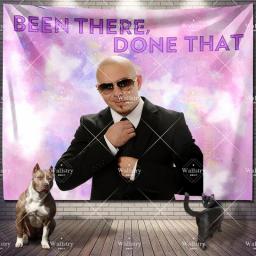 Mr 305 Pitbull Worldwide Hippie Tapestry Fabric Macrame Wall Hanging Beach Room Decor Cloth Carpet Yoga Mats Sheet Sofa Blanket
