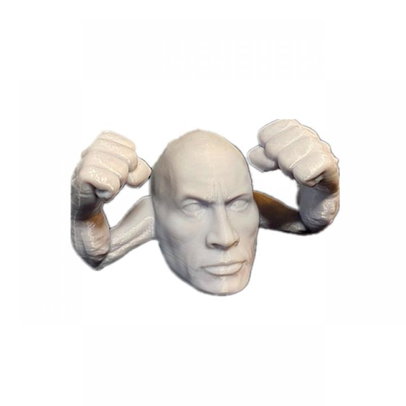 3D Printed the Rock PokeRock Set Realistic Made Ornament Toy Model Home Office Decoration Decor Kids Gifts