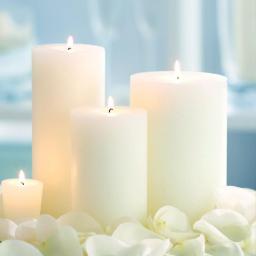 Plant Aromatherapy Candle Pineapple, Strawberry, Orange Aromatic Home Decorative Candles