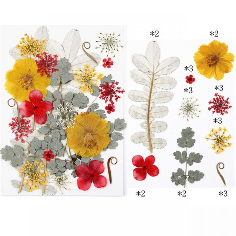 1Pack Dried Pressed Flowers Dry Leaves Herbs Kit for Resin Mold DIY Jewelry Making Crafts Candle Making Nail Art Face Decoration