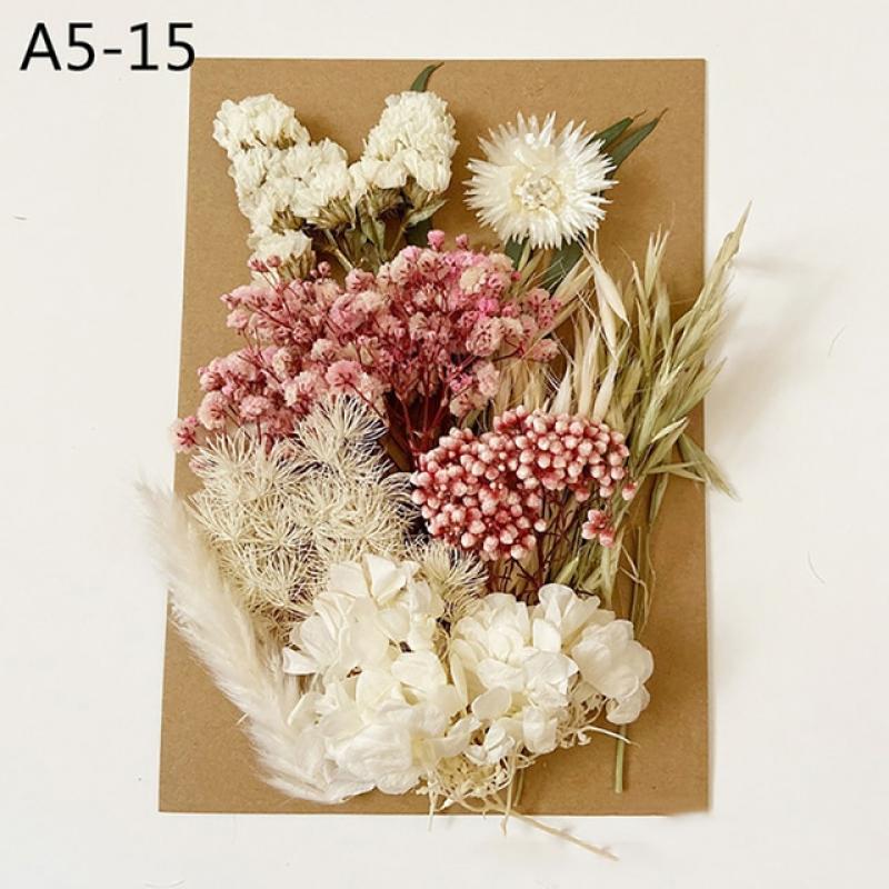 Dried Flowers And Eternal Flowers DIY Real Forever Dried Flowers Resin Mold Making Art Jewelry Casting Mold Embossing Material