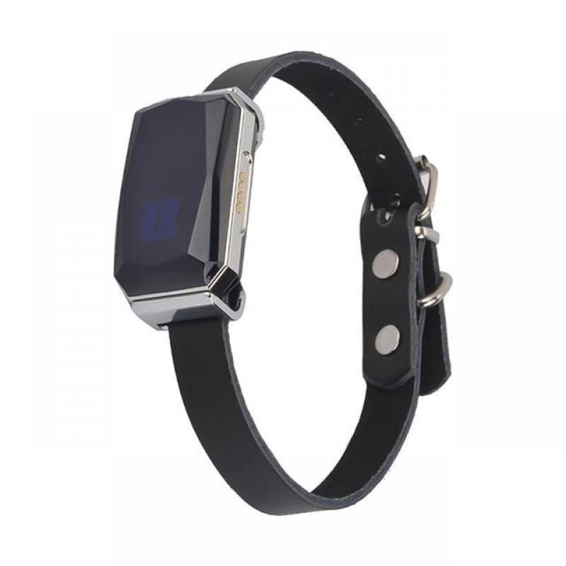 G12 GPS Smart Waterproof Pet Locator Universal Waterproof GPS Location Collar For Cats And Dogs  Positioning Tracker Locating