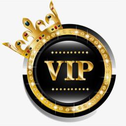 VIP Canvas Shoes