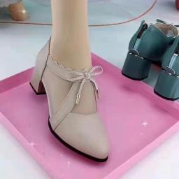 New Soft Leather Hollowed-out Breathable Mesh Shoes Women's 2022 Fashion British Style Thick Heel Plus Size Mesh Boots Women