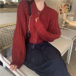 Cropped Sweaters Cardigan Women Baggy O-neck Hotsweet Teens Streetwear Lantern Sleeve Pure Harajuku Кардиган Knitwear Baggy Kpop