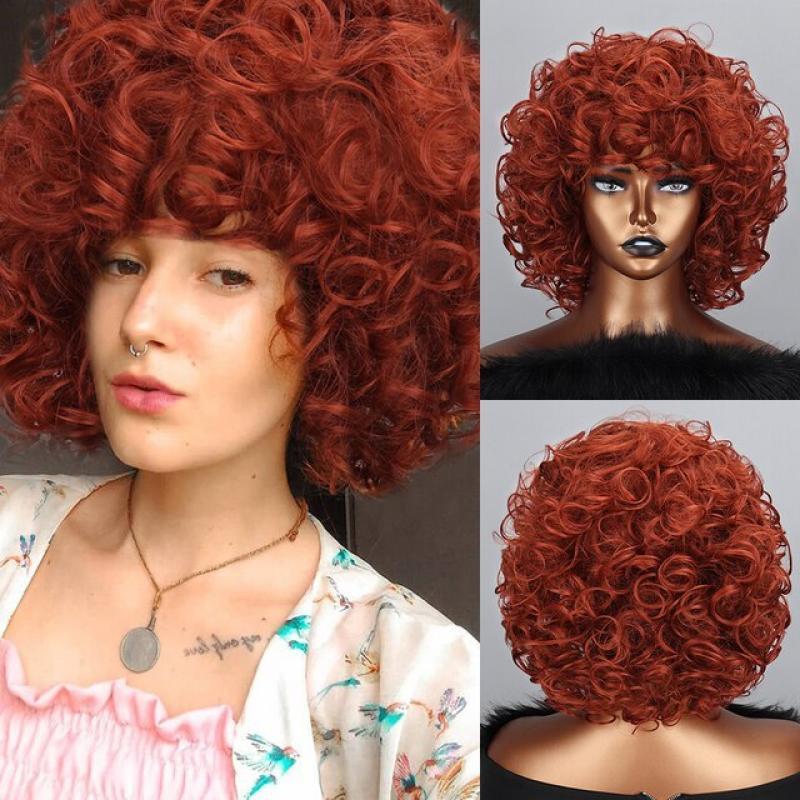 LINGHANG 10inch Afro Kinky Curly Wig Synthetic Short Wig Brown Wig Without Bangs Mixed Brown and Blonde Wig for Black Women