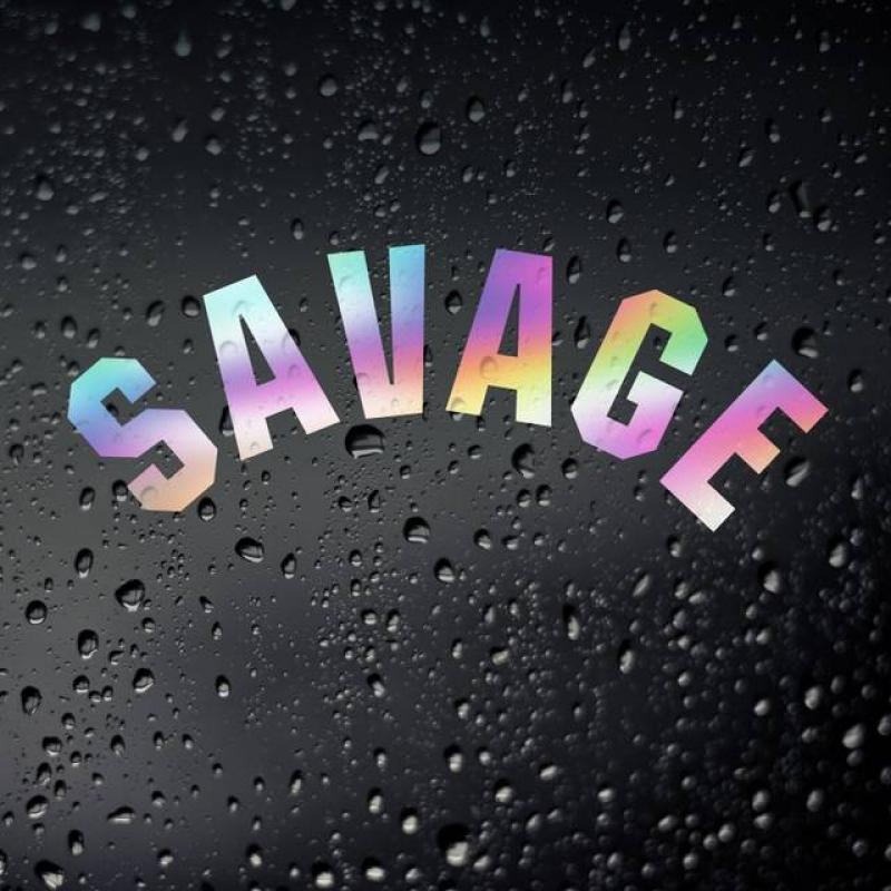 Savage Oil Slick Chrome Car Sticker - JDM JAP Tuner Drift Stance Tengoku Japanese DUB Euro De-Wiper Rear Window