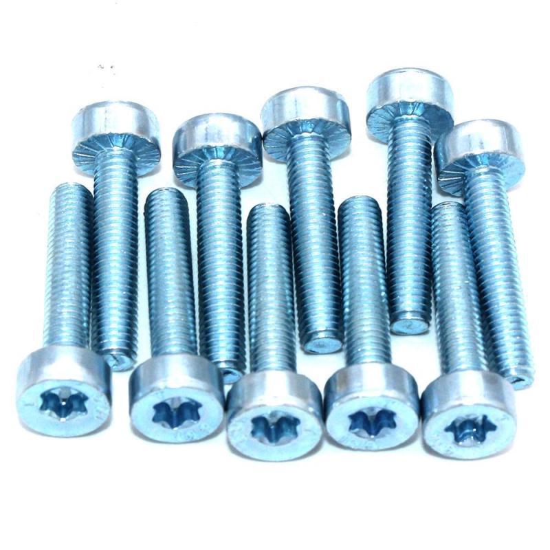 10PKS T27 Torx Bolt M5 x 25 for Stihl Makita Dolmar Oleo-Mac Chainsaw Bruchutter Blower Tiller