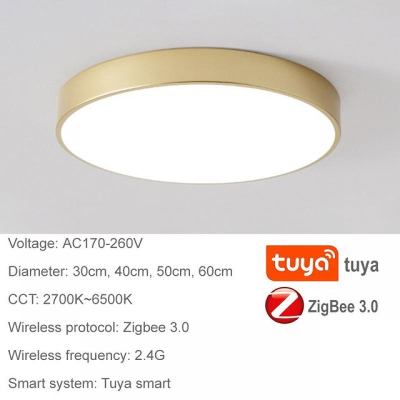 Zigbee Tuya Smart Led Ceiling Lamp Chandelier Home Decoration Bedroom Room Decor Yandex Alice Assistant Alexa Light Fixture