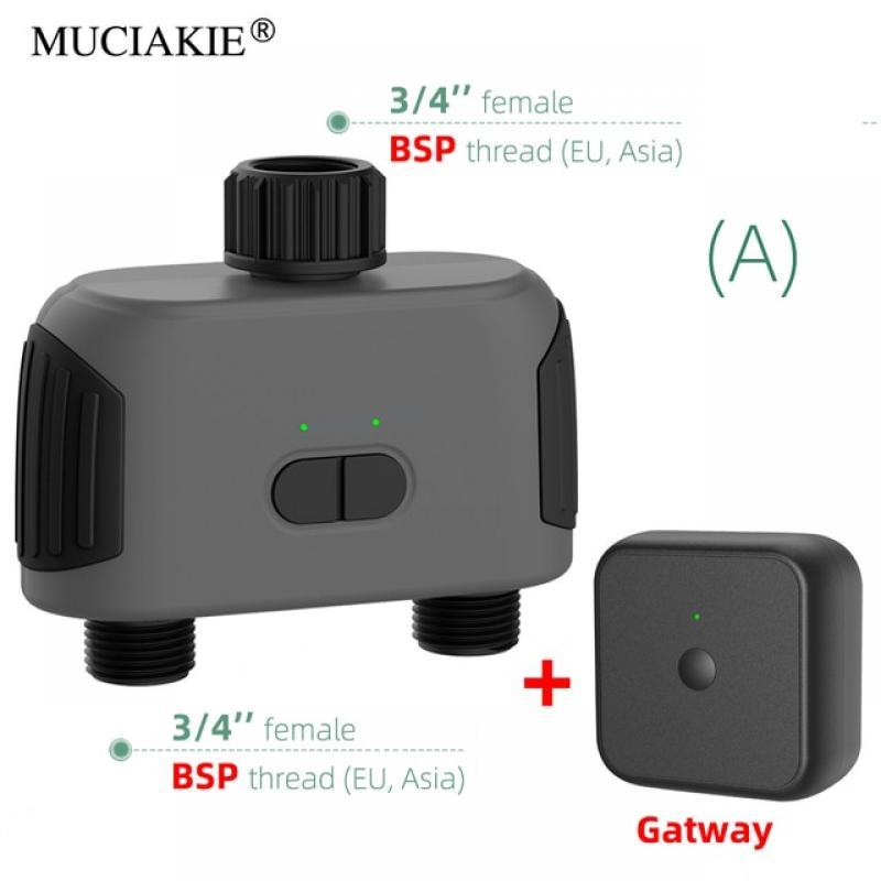 WiFi Bluetooth-compatible Garden 2-Way Water Timer Smart Solenoid Valve Wireless Phone Remoter Controller Automatic Irrigation