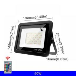 Outdoor RGB Flood Light Lamp 30W 50W 100W AC220V Garden Lighting Floodlight Waterproof Reflector Led Rgb Spotlight With Remote