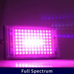 LED Floodlight 50W LED Spotlight 100W LED Grow Light 220V PhytoLamp Streetlight Full Spectrum Lamp For Plant Growth Lamp