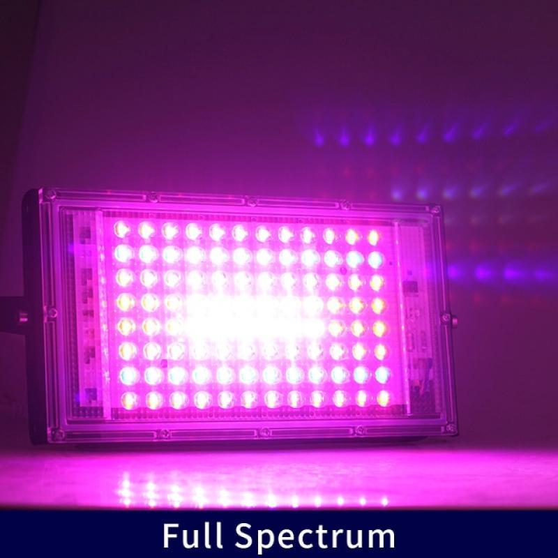 LED Floodlight 50W LED Spotlight 100W LED Grow Light 220V PhytoLamp Streetlight Full Spectrum Lamp For plant growth lamp