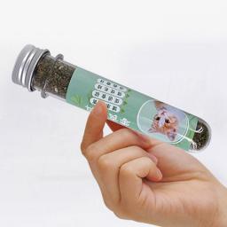 Catnip For Cats Premium Quality Strong Dried Catnip For Cat Toys Catnip For Cat Calming Scratch Pad Cat Bed Cat Toys