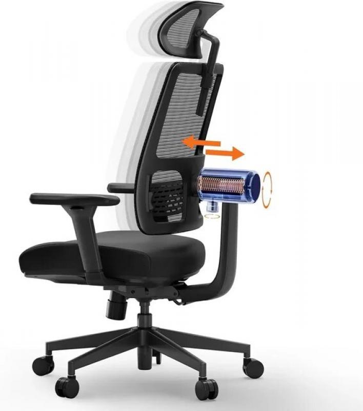 Newtral Ergonomic Home Office Chair, High Back Desk Chair with Unique Adaptive Lumbar Support, Adjustable Headrest