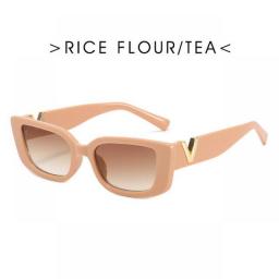 Vintage Rectangle Frame Sunglasses Women Brand Designer Retro Sun Glasses Cool Female Ins Popular Square Eyewear NewNew