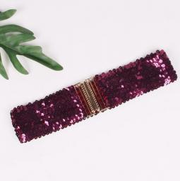 New Korean Fashion Belt Sequin Women's Belt 6cm Wide Sequin Elastic Belt Alloy Buckle Ladies Dress Girdle