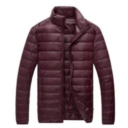 Autumn High-end Brand White Duck Down Light Fashion Solid Color Slim Casual Stand Collar Mens Down Jacket Male Down Coat