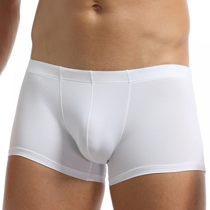 Transparent Sexy Panties Solid Underwear Loose Fashion Ice Silk Seamless Ultra-thin Breathable Boxer Shorts for Male Underpants