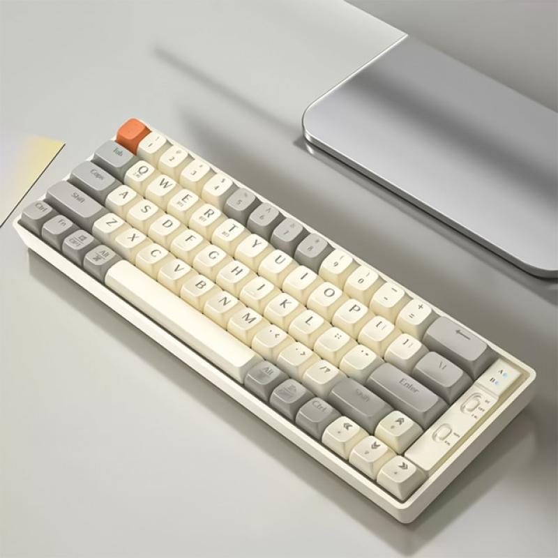 RGB Light Wireless bluetooth Mechanical Keyboard Gaming Keyboard PBT Keycaps Hot Swappable 65Keys for PC Laptop detachable cable